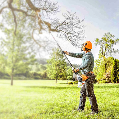 tree trimming image